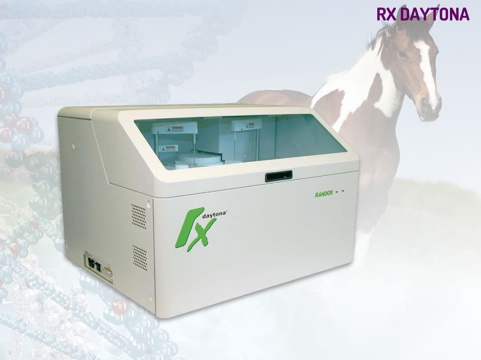 randox-RX-daytona-vet